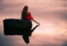 Абстракция в фотографиях Элизабет Гадд (Elizabeth Gadd)